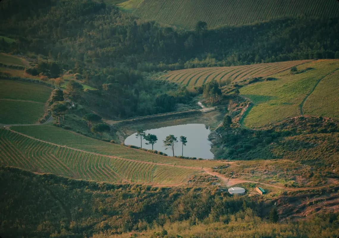 Vineyards and mountains of the Cape Winelands